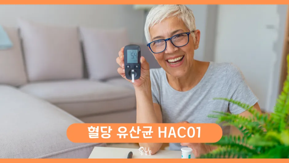 혈당 유산균 HAC01