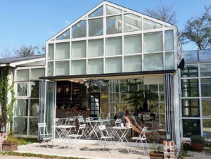 샤스타데이지 카페명소 BEST 5곳