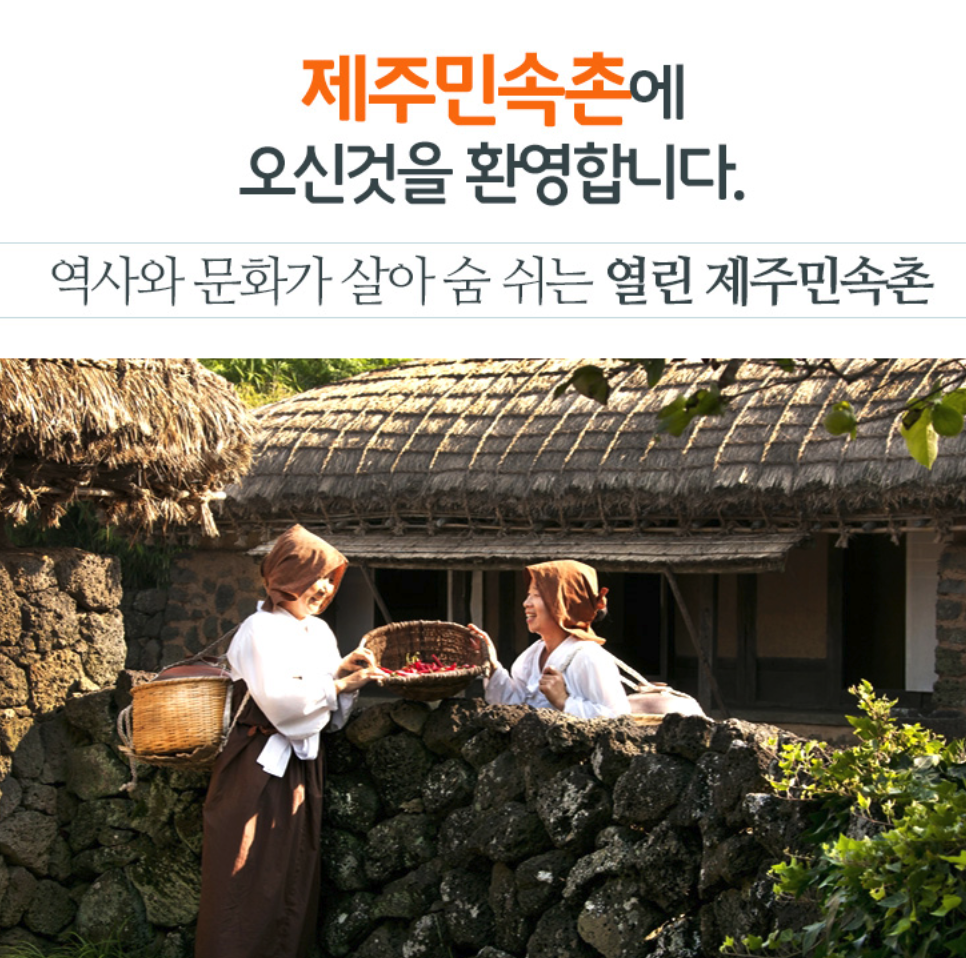 제주민속촌 메밀꽃축제 일정 체험행사 즐길거리 근처 맛집 주차 정보