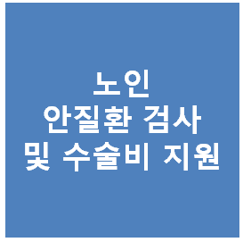 노인 백내장, 녹내장 등 검사 및 수술비 국가 지원