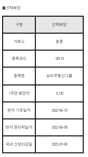홍콩주식 선택배당 00119 보리부동산그룹