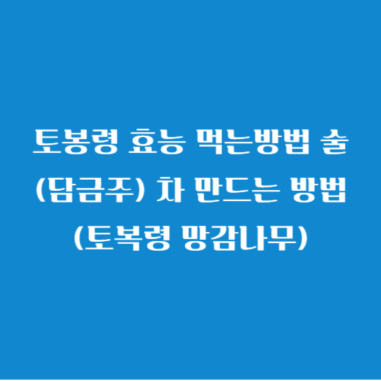 토봉령 효능 먹는방법 술(담금주) 차 만드는 방법(토복령 망감나무)