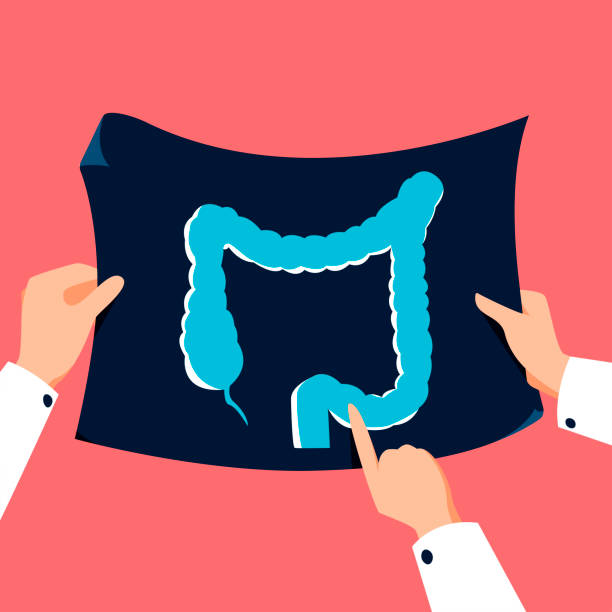 장을-그려놓은-그림