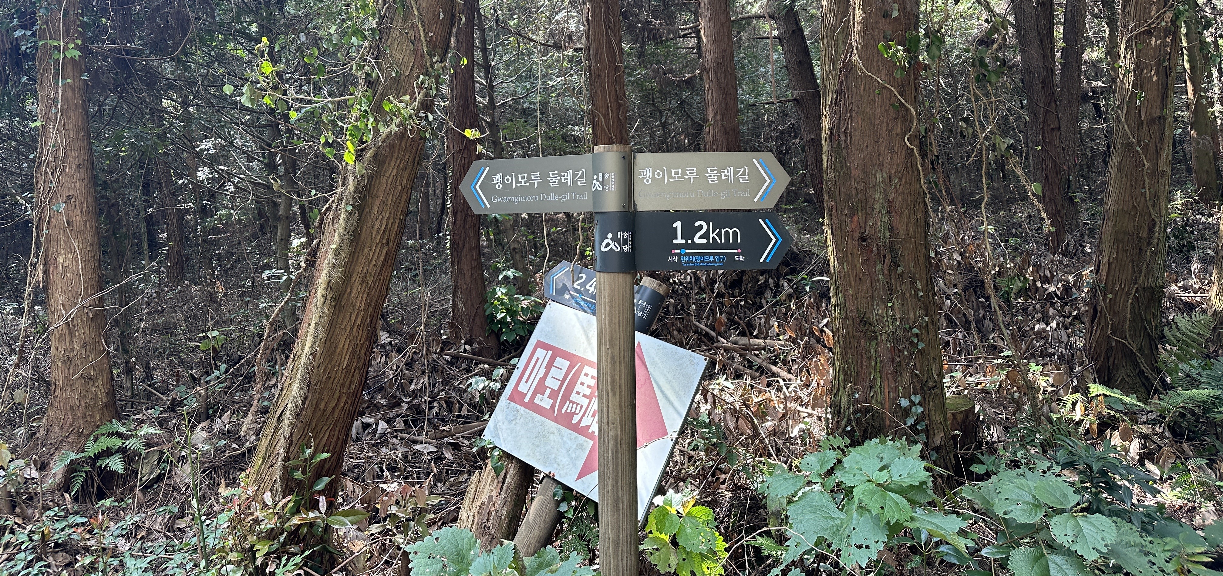 괭이모루 숲길 산책로