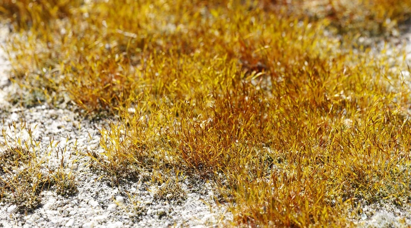 공장 바닥 보수공사의 중요성