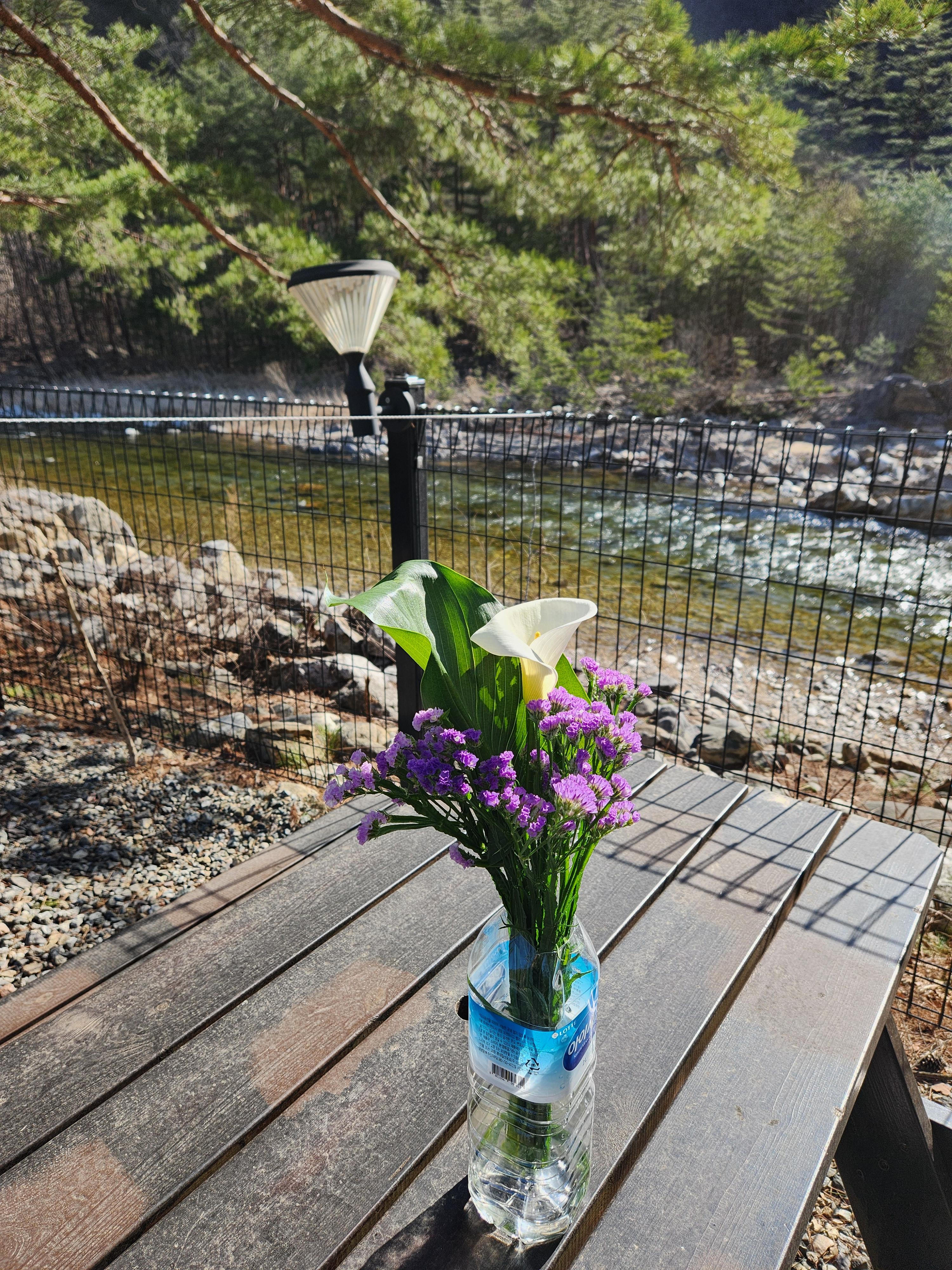 캠핑 사이트에 있는 개별 나무 테이블-테이블 위에 보라색과 하얀 꽃이 긴 통에 꽃혀있다-그 앞으로 계곡이 흐른다