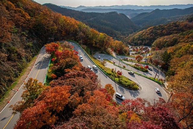 카카오뱅크 하이패스카드 분실 재발급 신청 방법