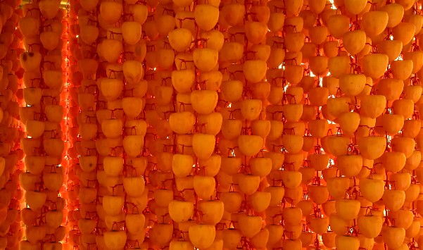 대봉감 홍시 만드는법, 말랭이 만드는법, 곶감 만드는법 그리고 효능 및 보관방법