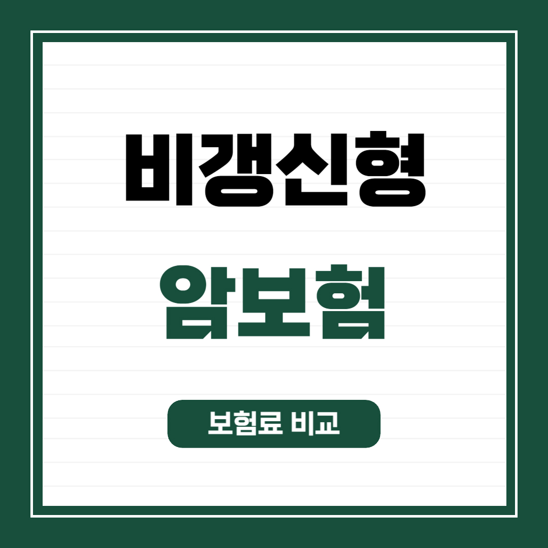 비갱신형-암보험