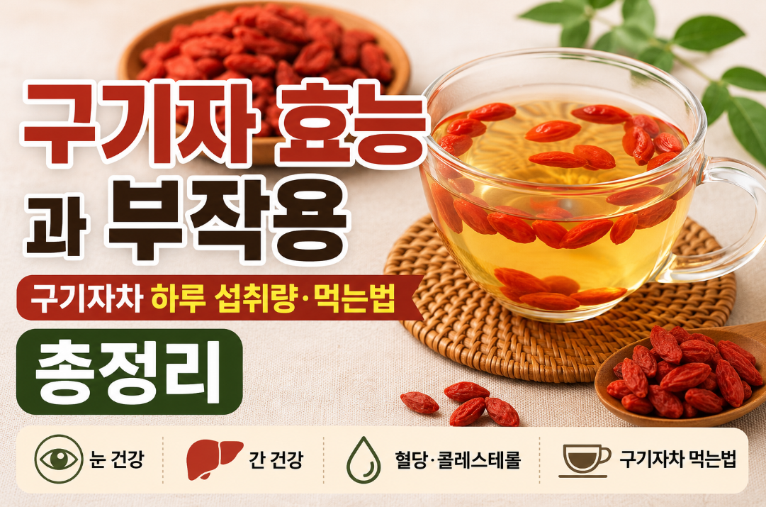 구기자 효능 부작용｜구기자차 하루 섭취량&middot;먹는법 총정리