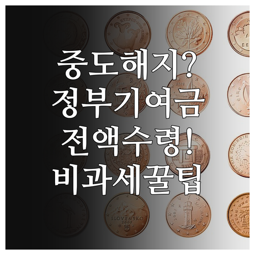 청년도약계좌 특별중도해지 사유와 정부..