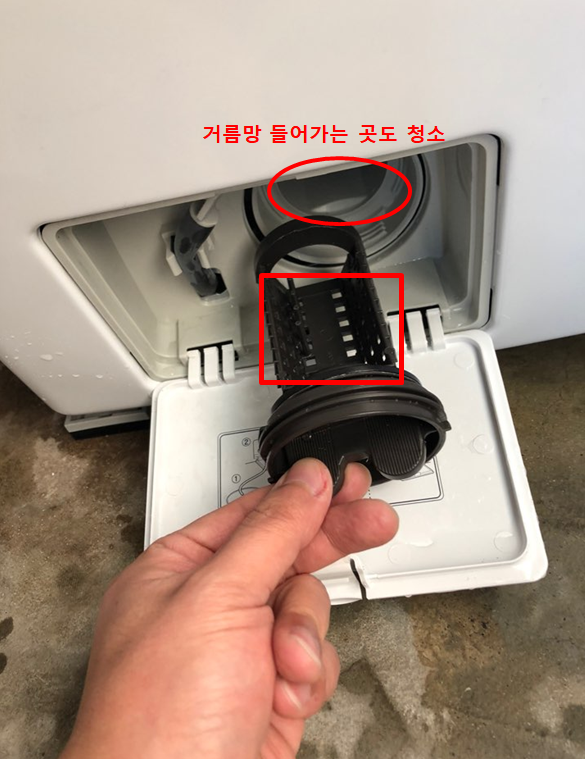 거름망 청소