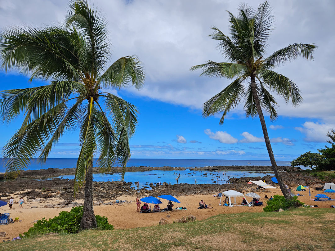 하와이 샥스코브 스노쿨링