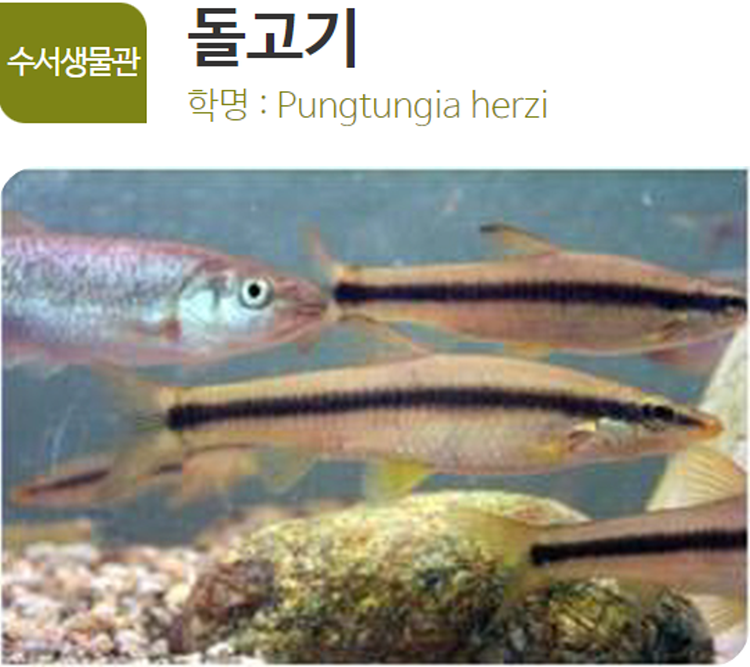 아산 생태곤충원