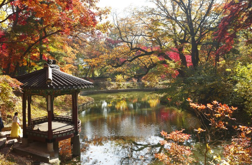 창덕궁 후원 예약8