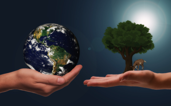 지속 가능한 여행: 탄소 발자국 없는 미래 여행의 혁신