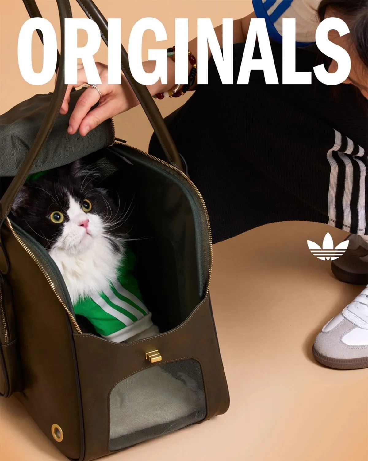 adidas Originals Is Dropping Apparel And Accessories For Pets