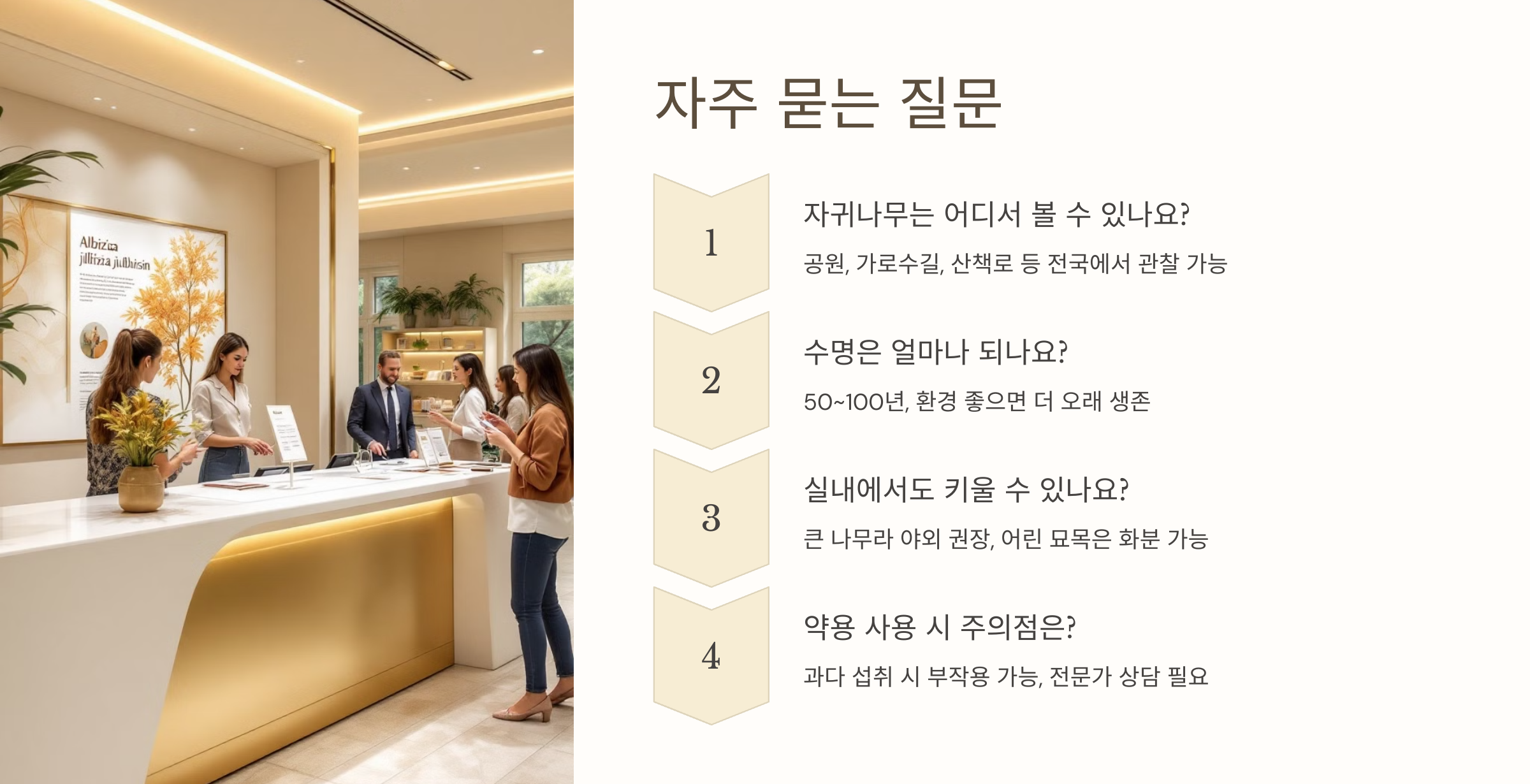 자귀나무 사진