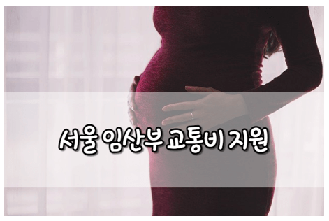 서울 임산부 교통비 지원