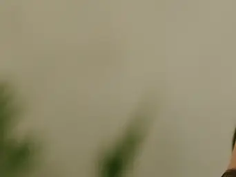 니코틴산 아미드 효능