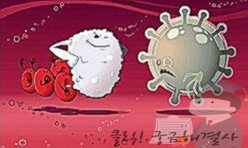 녹십자 포스트바이오틱스 알파