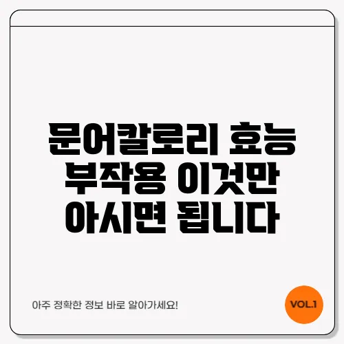 문어칼로리 효능 부작용 이것만 아시면 됩니다