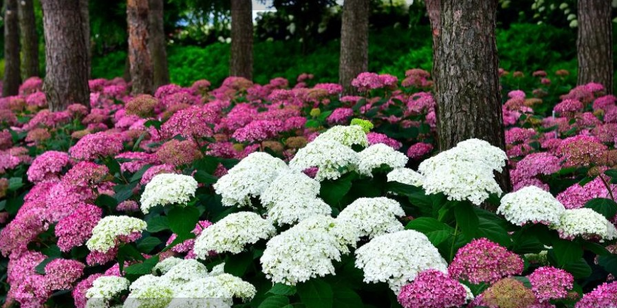 6월 국내 여행지 추천