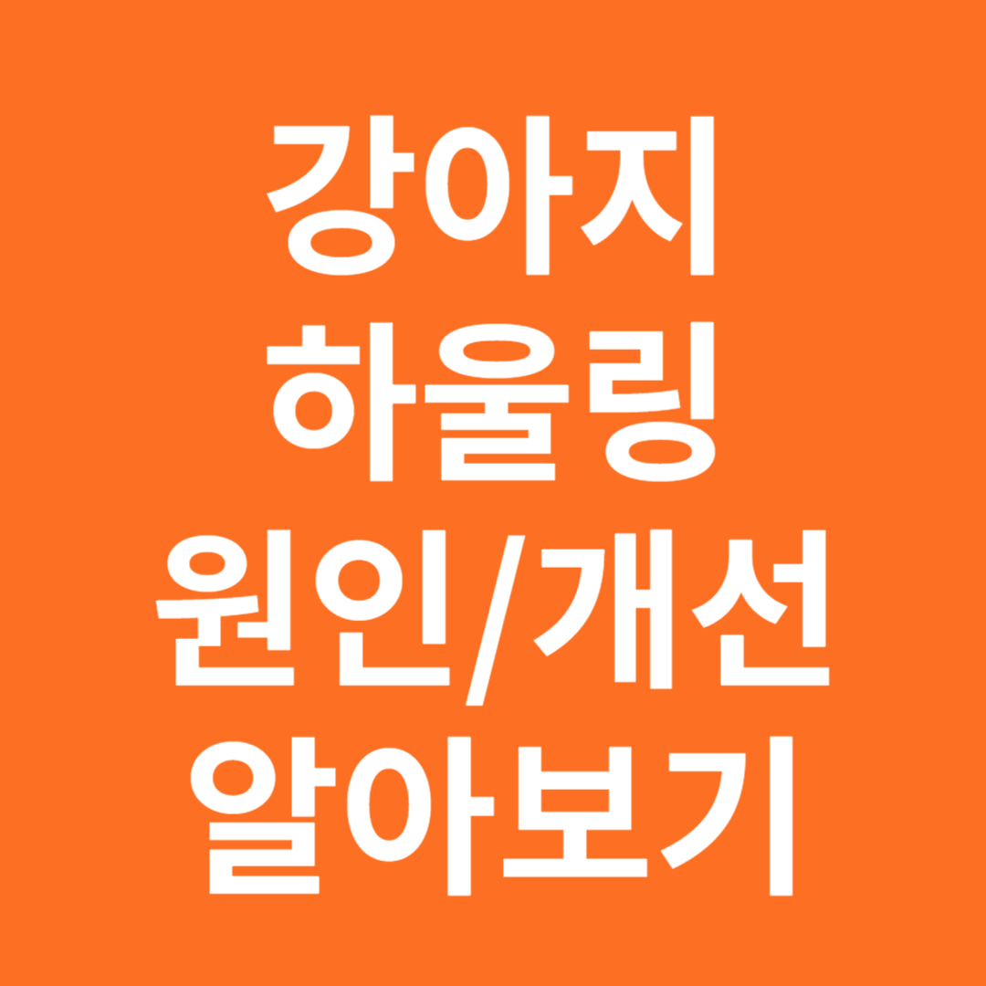 강아지 하울링 이유와 개선 방법