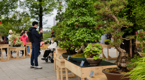 고양국제꽃박람회 입장료