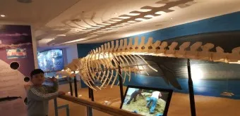 아이와 제주 여행 제주 민속 자연사박물관 예매 코스 가이드_23