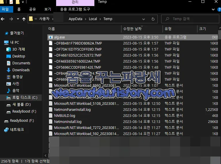 다운로드 된 alg.exe