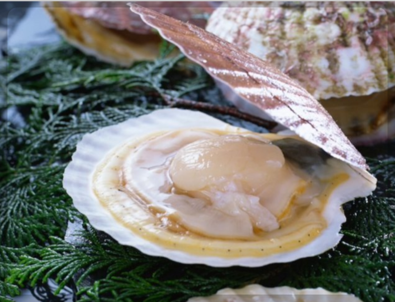 12월 제철 해산물