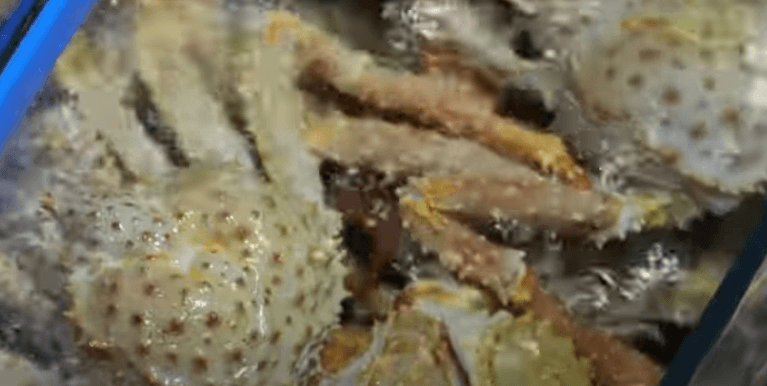 수산물 시장 수조에 진열된 킹크랩