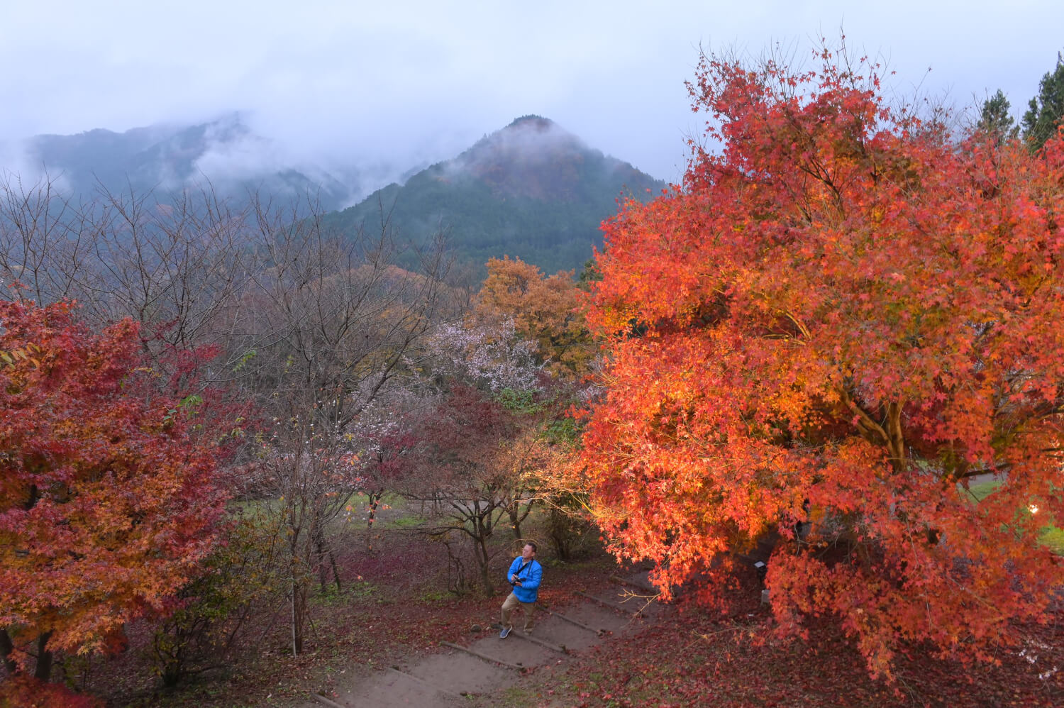 2025 화담숲 예약 방법