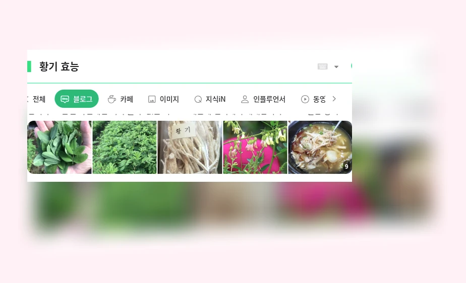 황기 효능_1_subsection