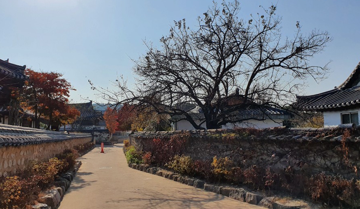 교촌마을