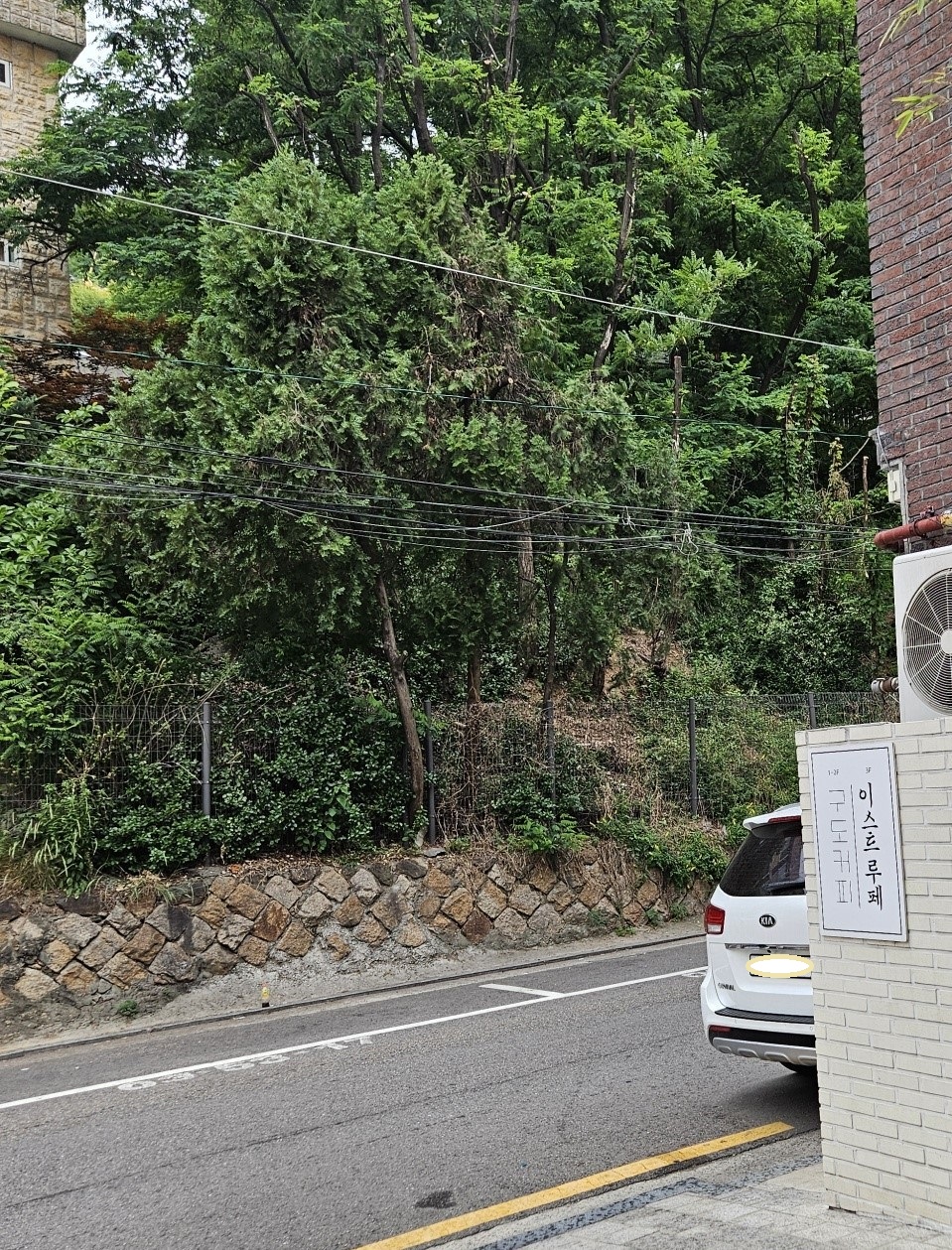 구도커피-건너편-매봉산