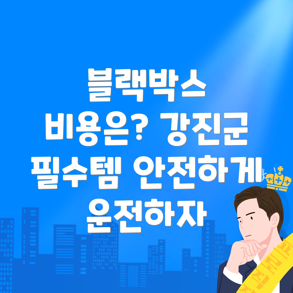 블랙박스 설치 비용