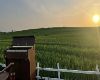 고창 청보리밭 축제_7