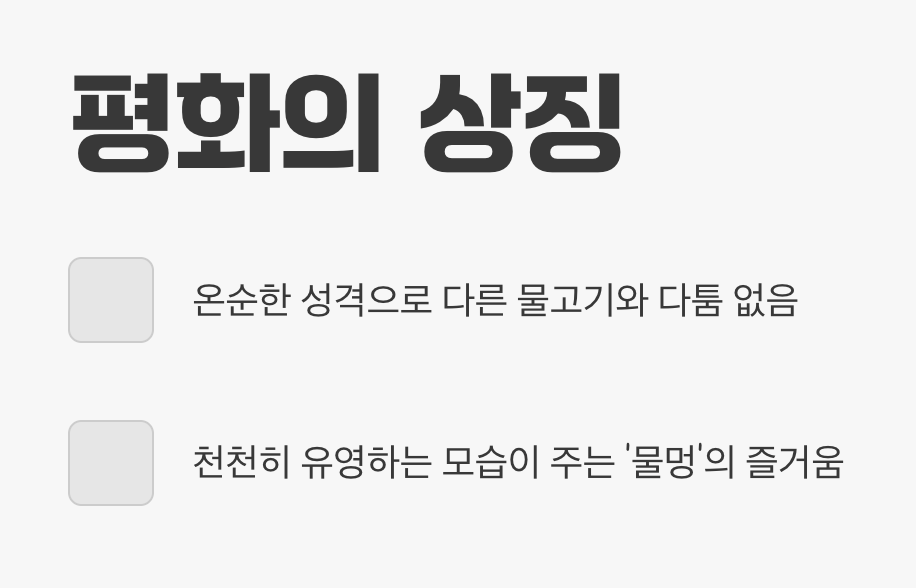 느긋함이 주는 평화&amp;#44; 고요한 어항의 중심