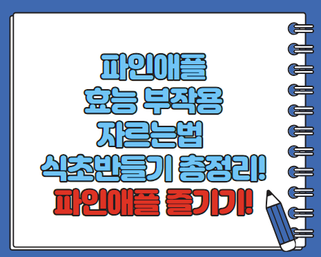 파인애플 효능 부작용 자르는법 식초만들기 등 총정리(최신)