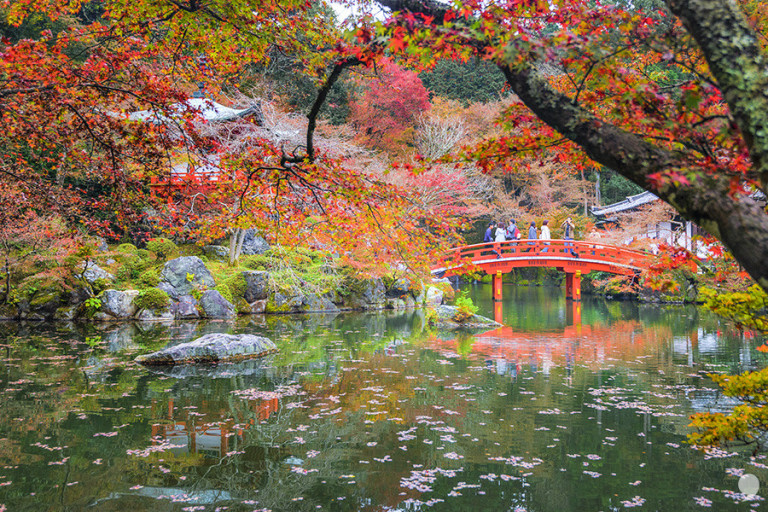 오사카 자유여행 추천 : 오사카 여행 추천 코스