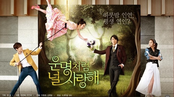 운명처럼 너를 사랑해 사진