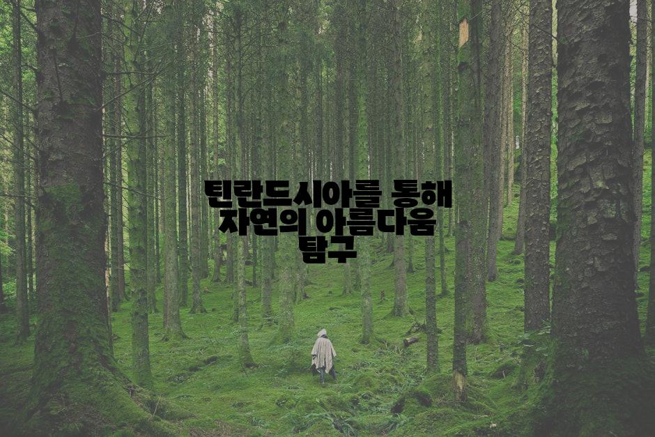 틴란드시아를 통해 자연의 아름다움 탐구