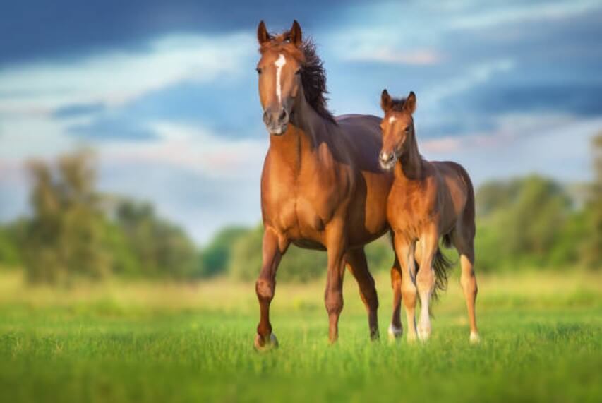 2023년말띠인간관계 