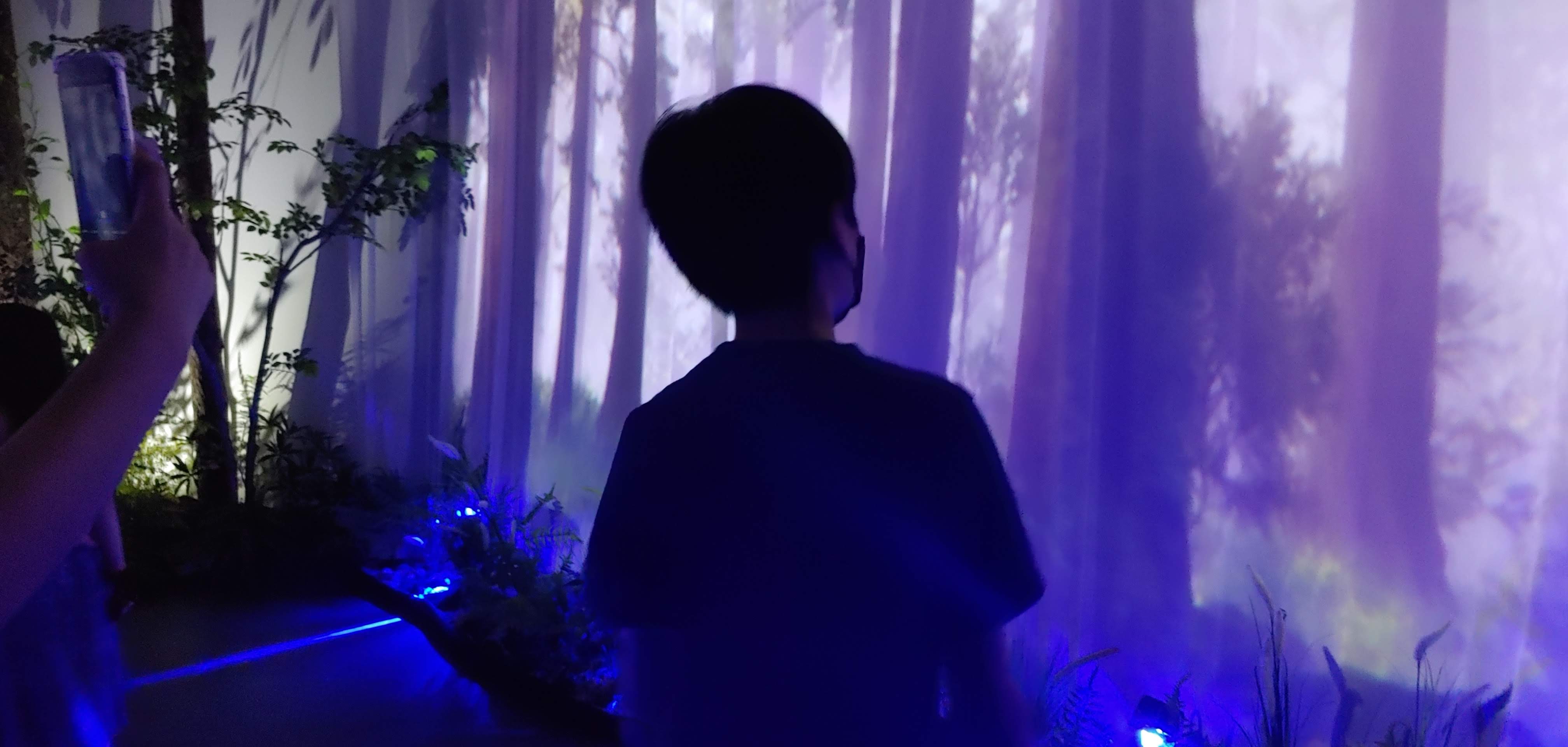 신비로운 숲을 여행하는 이미지