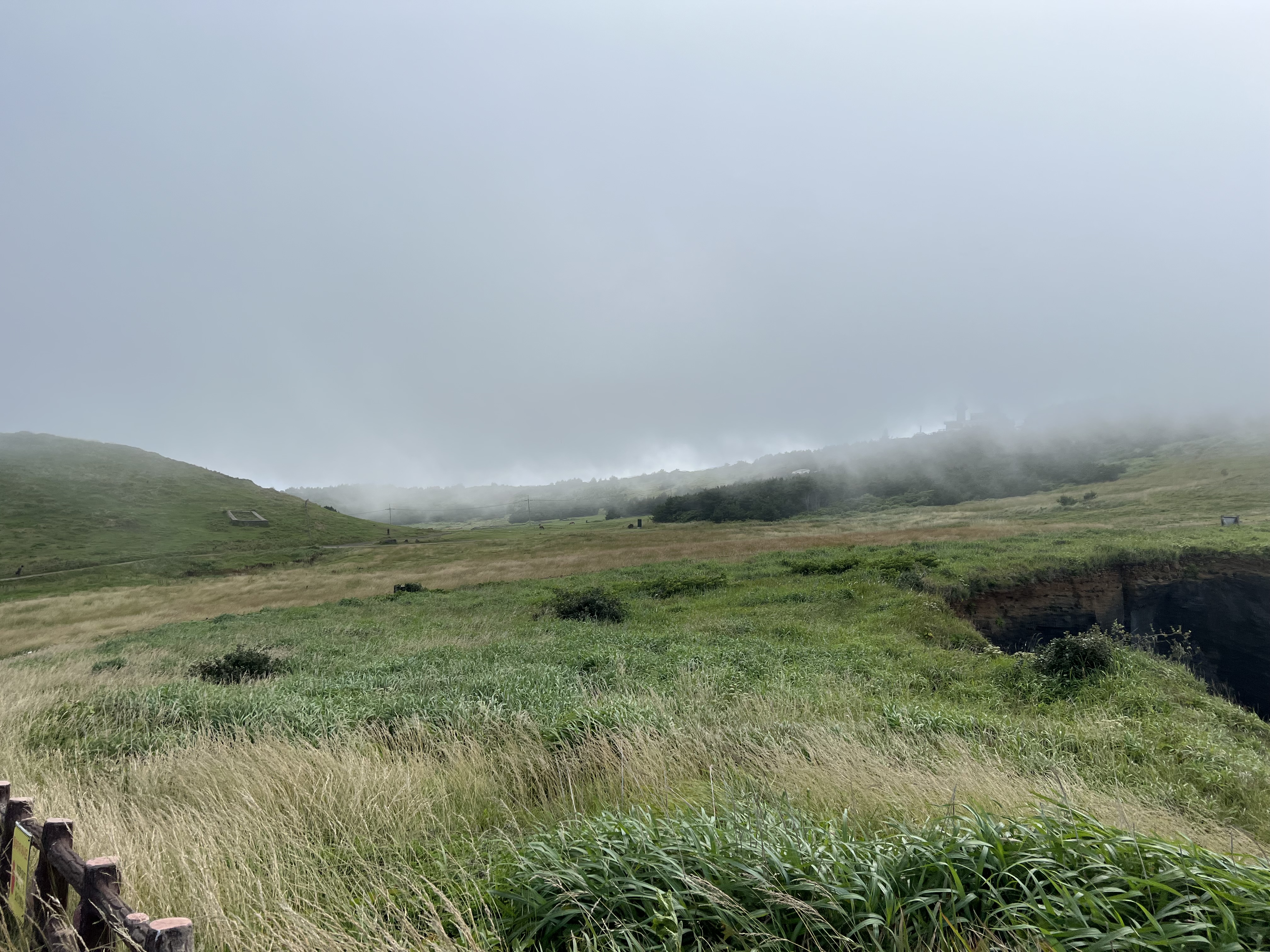 소머리오름-바람