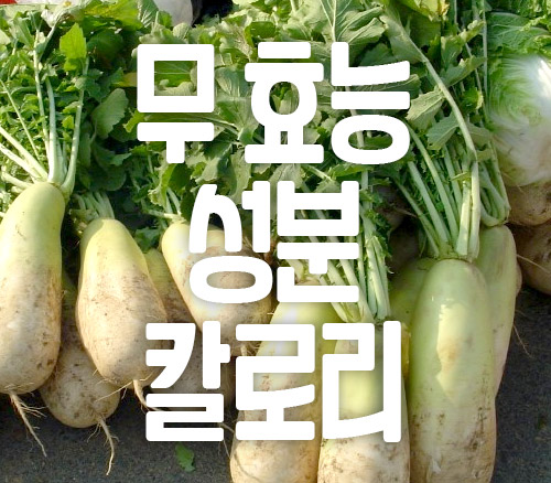 무 효능 성분 칼로리