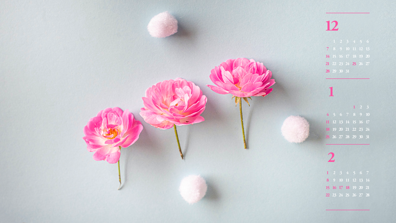 08 모란꽃 세송이 B - 2026년1월 달력배경화면