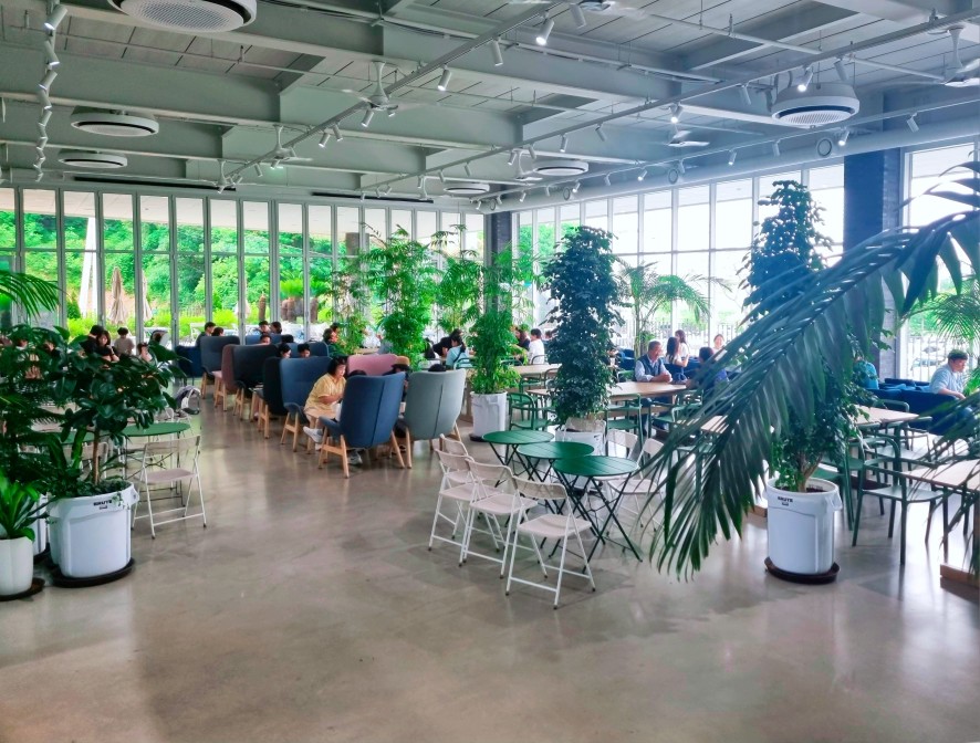 팔방미인 파주 문지리 535 카페 매력 포인트: 드넓은 논밭 뷰와 초록을 담은 실내 식물원